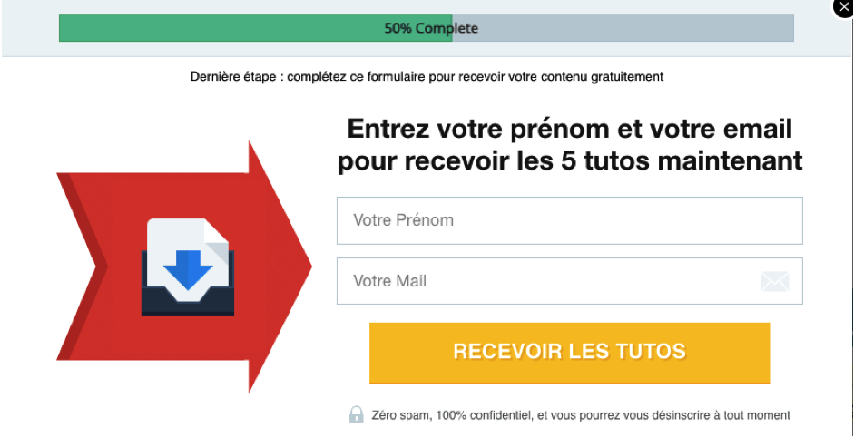 Exemple de lead magnet
