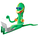 web icon