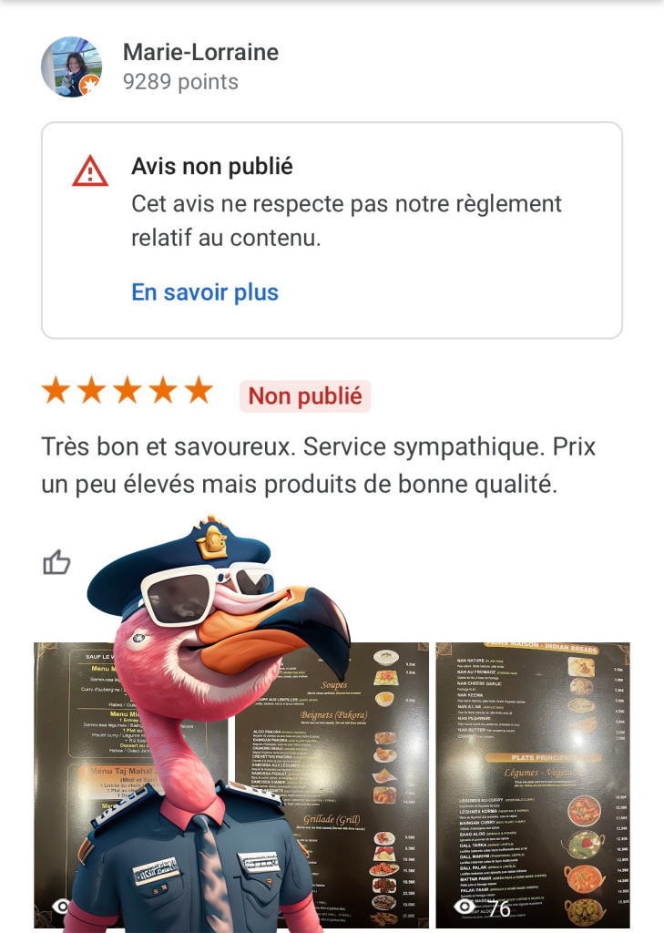 avis Google IA faux