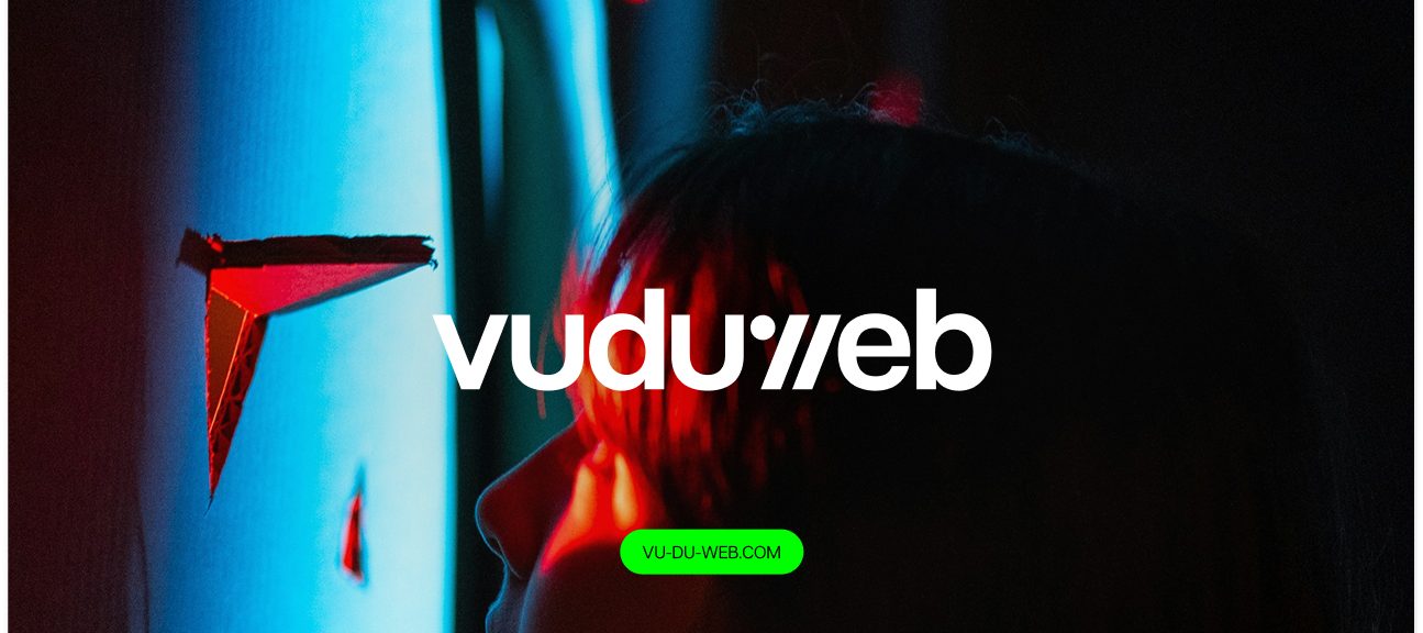 Agence SEO Ecommerce Vu du Web